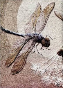 dragonfly 1 annemieke mien